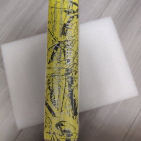 甲骨文丛书·文明中的疯癫：一部关于精神错乱的文化史