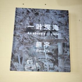 一叶观海〔熊宇〕 精装本【552】