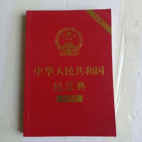 中华人民共和国民法典 大字版