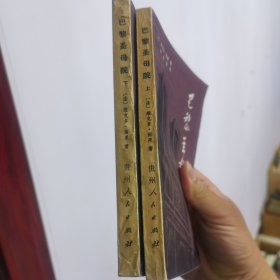 巴黎圣母院 上下
