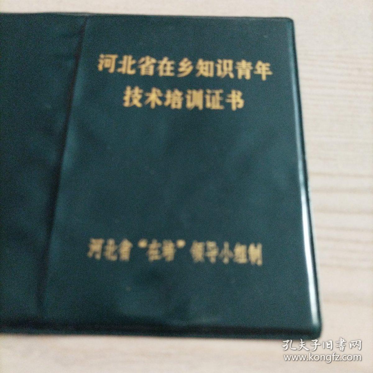 点击查看原图 河北省在乡知识青年技术培训证书