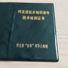 河北省在乡知识青年技术培训证书