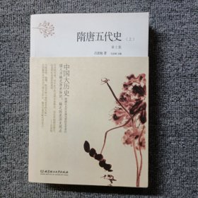 中国大历史——隋唐五代史（套装上、下册）（第2版）