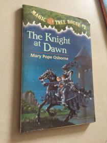 the knight at dawn