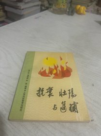 抗衰·壮阳与进补