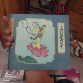 含羞草