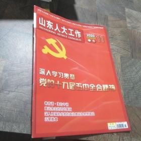 山东人大工作2020.11