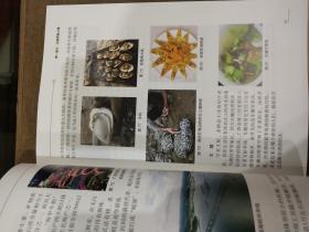 北部湾风味食趣/广西北部湾传统文化丛书-