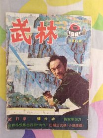 武林1985年第6期