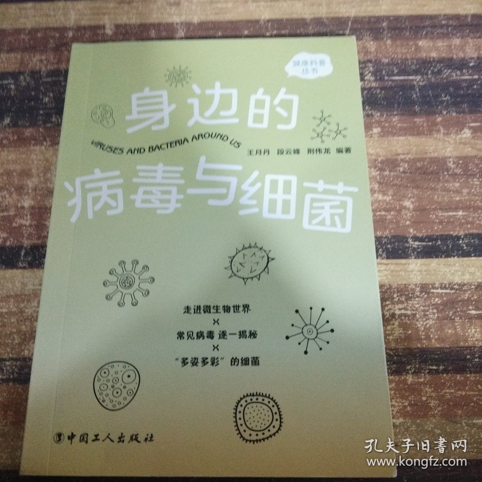 身边的病毒与细菌