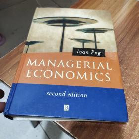 Managerial  Economics  second Edition(精装厚册)