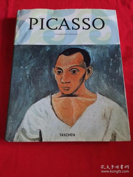 毕加索 Picasso