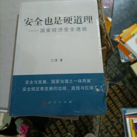 安全也是硬道理：国家经济安全透视