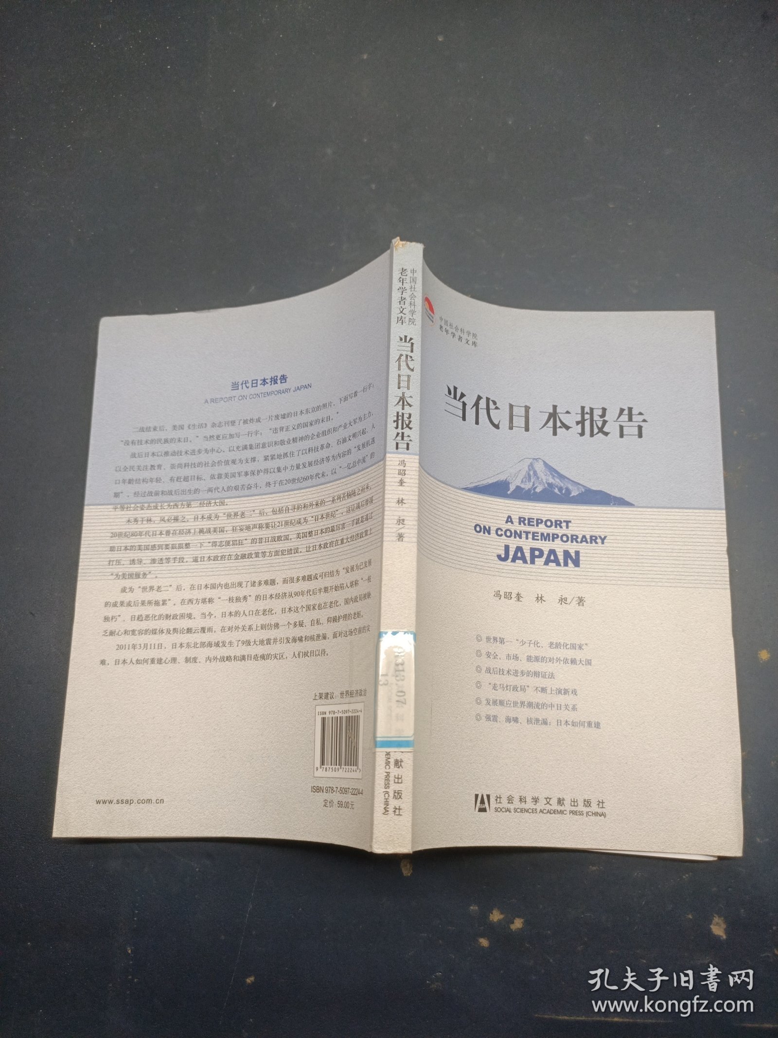 当代日本报告