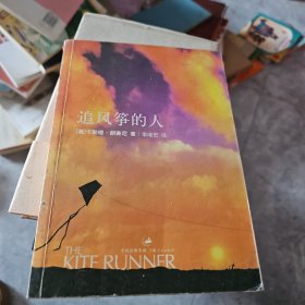 追风筝的人