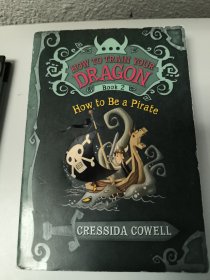 How to Train Your Dragon Book 2: How to Be a Pirate  驯龙高手2  