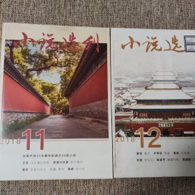 《小说选刊》2018年11-12期，两册合售