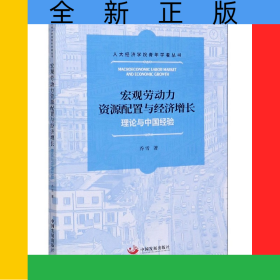 宏觀勞動(dòng)力資源配置與經(jīng)濟(jì)增長(zhǎng)(理論與中國(guó)經(jīng)驗(yàn))/人大經(jīng)濟(jì)學(xué)院青年學(xué)者叢書