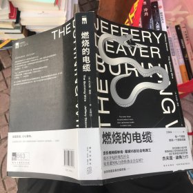 燃烧的电缆