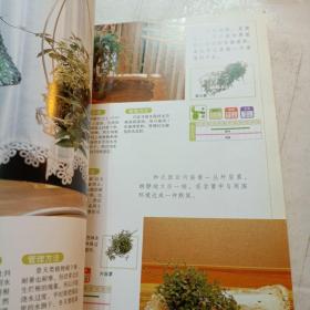 图解组合盆栽制作与观赏