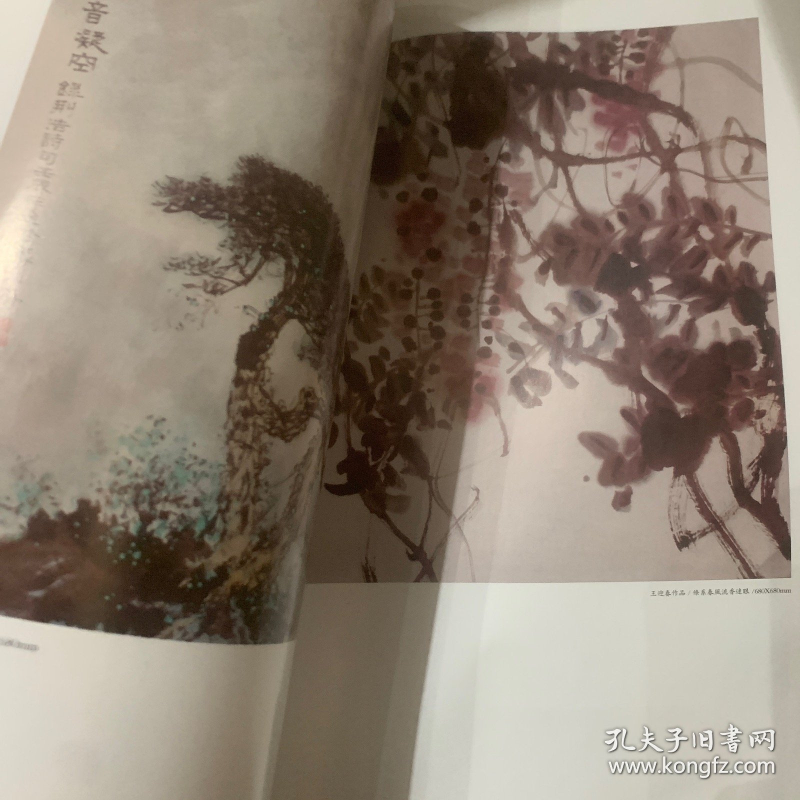 江西画报研子禅舍