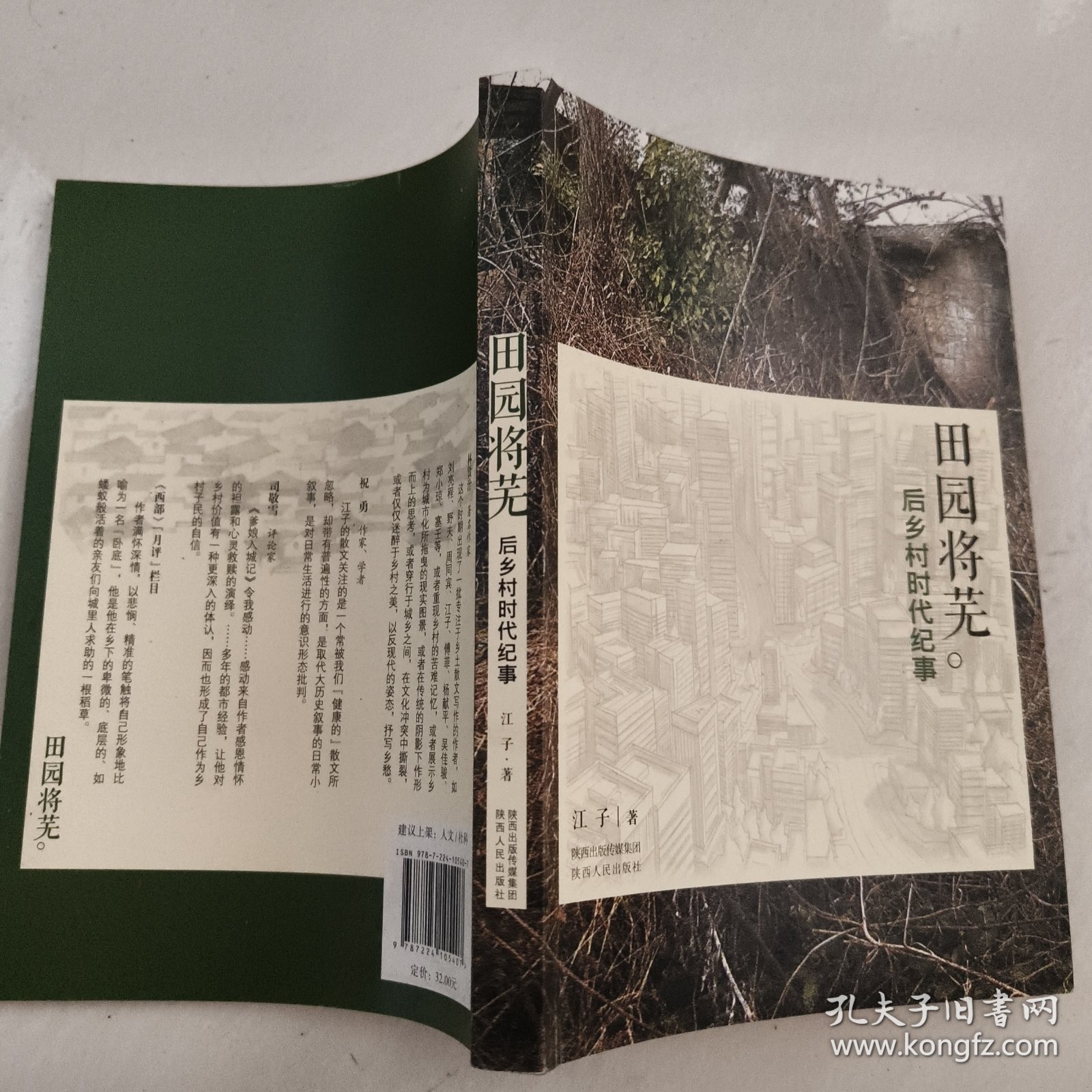 田园将芜：后乡村时代纪事