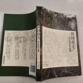 田园将芜：后乡村时代纪事