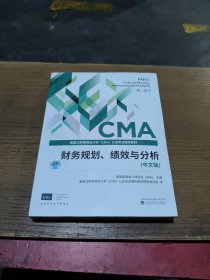 财务规划、绩效与分析