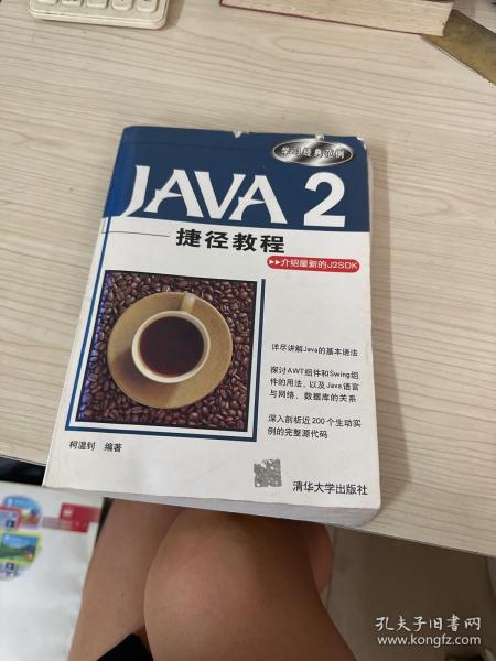 Java 2捷径教程