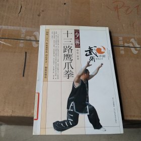 少林十三路鹰爪拳