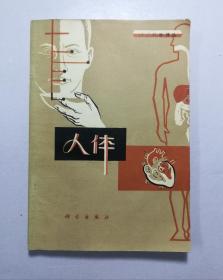 人体
