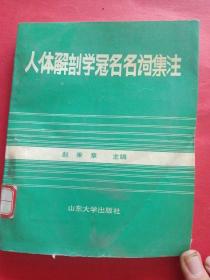 9029人体解剖学冠名名词集注