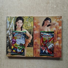 风韵风情风雅——人体模特摄影艺术BC共2册合售
