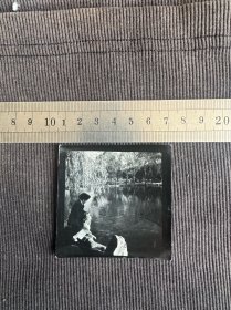 妇女湖边喂鱼投稿照片