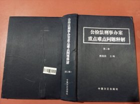 公检法刑事办案重点难点问题解释第二卷1.9千克