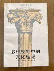 多维视野中的文化理论