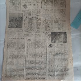 老报纸新田报1957新圩乡伍家农业社早稻准备杏干社抗旱管水员邓昌仙新圩乡万年农业社陈国汉民主整社五柳塘乡建国农业社危永兴退还麦子陶岭圩乡邝家农业社意见箱邓家村乡 龙溪农业社成清文 打死金钱豹 陈晚乡平山农业社骆继荣节约抚顺石油二厂原油车间 周恩秀沅头农业社女社员五好宣传