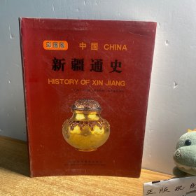 中国新疆通史