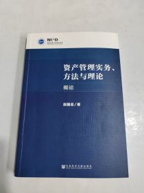 资产管理实务、方法与理论：概论