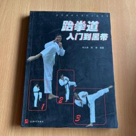 公共体育专业化运动丛书：跆拳道入门到黑带