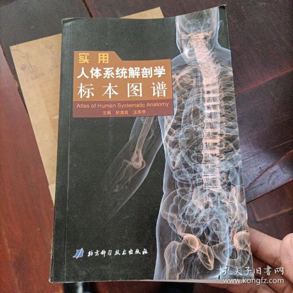 人体系统解剖学标本图谱