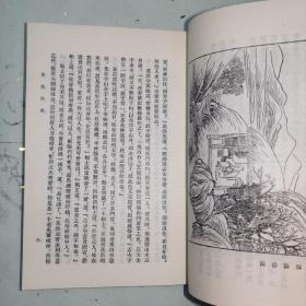 《西湖佳话》插图本.出版说明：全名“西湖佳话古今遗迹”是一部以西湖名胜为背景的短篇小说集。全书共十六篇，根据史传杂记传说写成，塑造了葛洪、白居易、苏东坡、林逋、岳飞、济颠、苏小小、冯小青、白娘子等人物。本书据光绪十八年上海文选局石印本排印，原书插图全部复制。