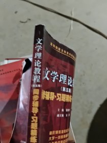 童庆炳 文学理论教程（第五版）同步辅导 习题精练 考研真题