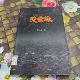 迷宫蛛 馆藏正版无笔迹