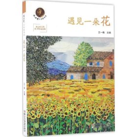 冰心奖小作家书系 冰心作文奖10周年纪念版：遇见一朵花