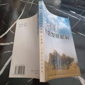 西北回族社会发展机制