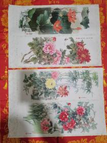 王庆昇花卉四条屏挂画（河北人民出版社、1978年11月第一版、1979年5月第二次印刷、）