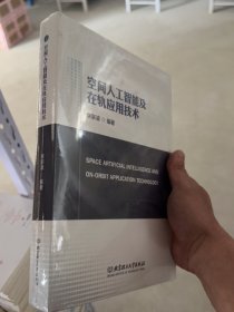 空間人工智能及在軌應用技術