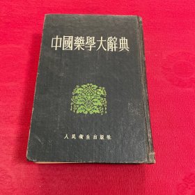 中国药学大辞典 下