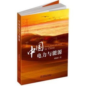 正版书中国电力与能源